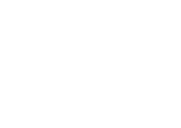 Ana Leikin, Abogada