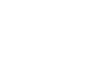 Carolina Rivas Dibarrart, Abogada