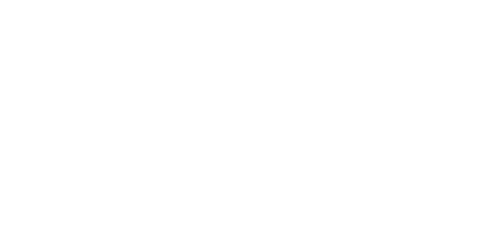 Marcela Borneck, Abogada